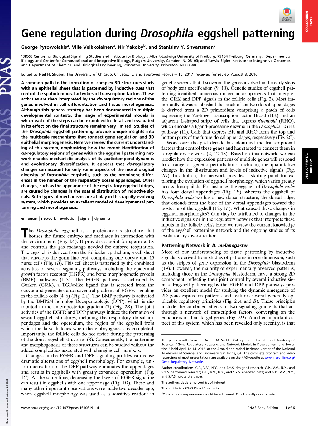 Gene Regulation During Drosophila Eggshell Patterning COLLOQUIUM