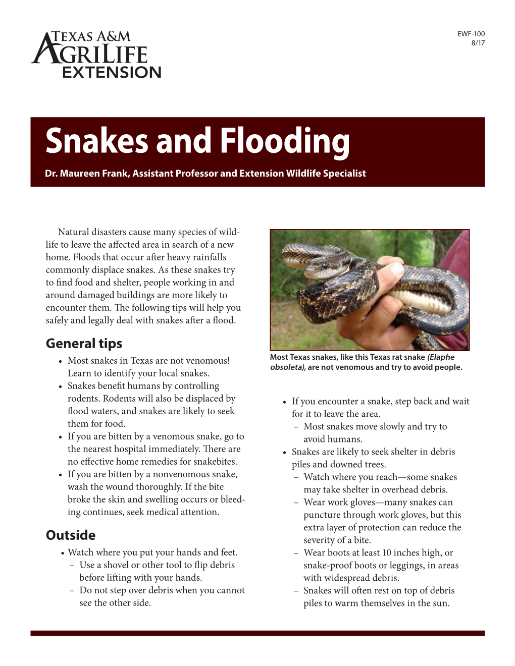 Snakes & Flooding