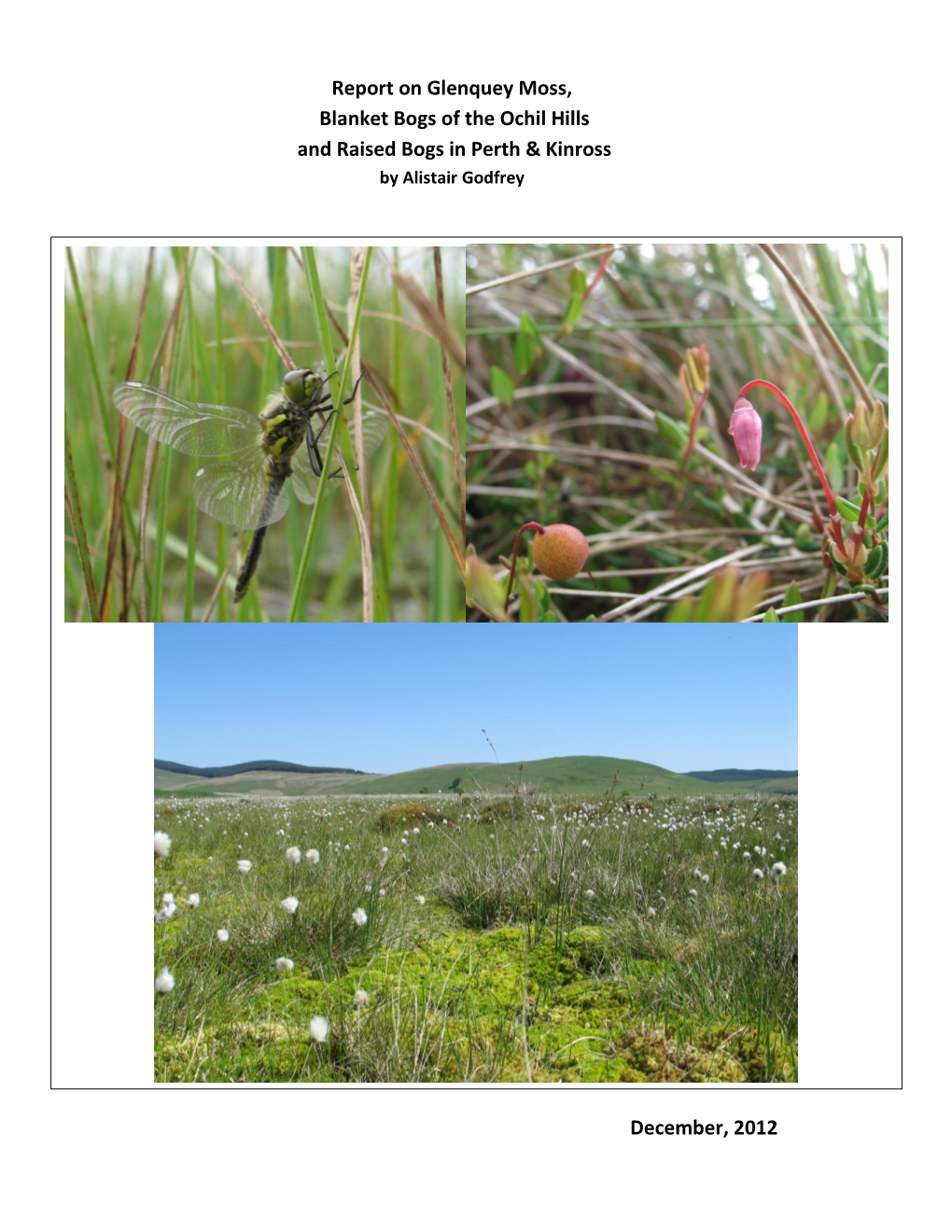 Report on Glenquey Moss, Blanket Bogs of the Ochil Hills and Raised Bogs in Perth & Kinross by Alistair Godfrey