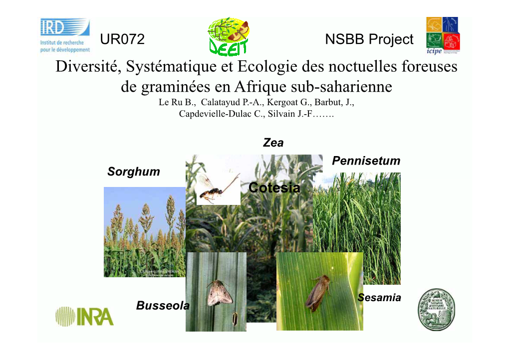 Diversité, Systématique Et Ecologie Des Noctuelles Foreuses De Graminées En Afrique Sub-Saharienne