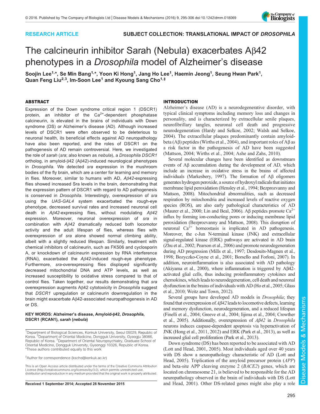 The Calcineurin Inhibitor Sarah (Nebula) Exacerbates Aβ42 Phenotypes in a Drosophila Model of Alzheimer's Disease