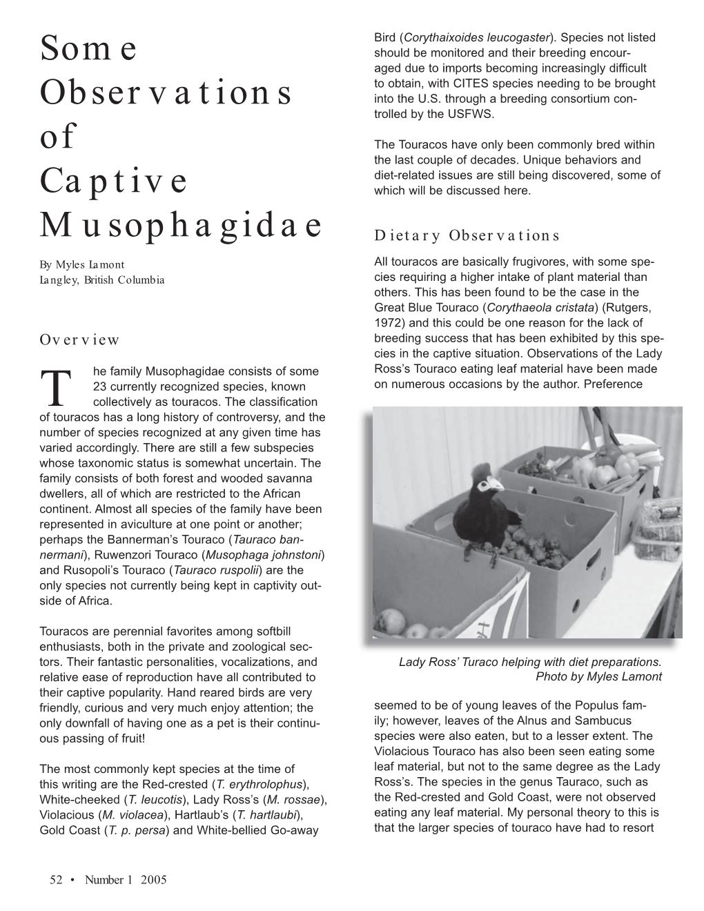 Some Observations of Captive Musophagidae