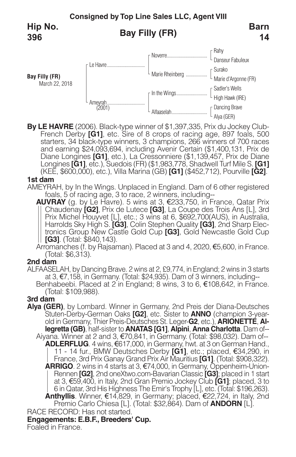 Bay Filly (FR) Barn 14 Hip No