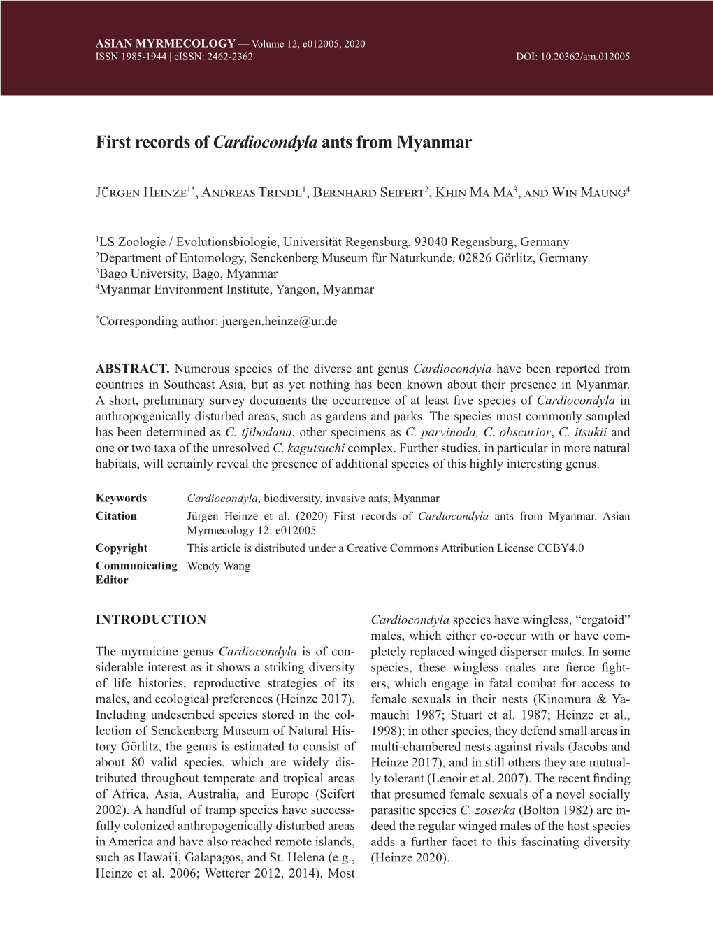 First Records of Cardiocondyla Ants from Myanmar