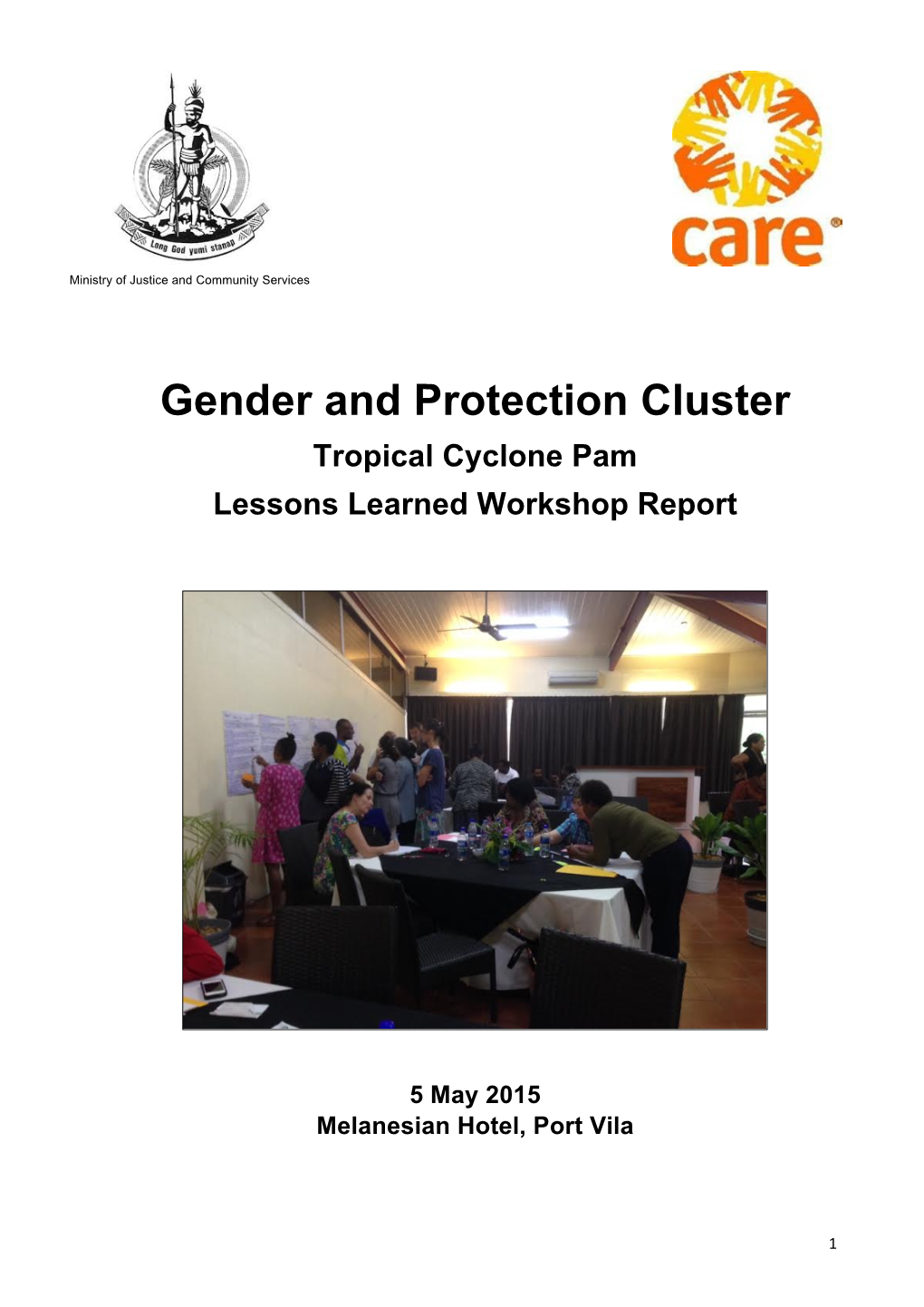 Gender and Protection Cluster Tropical Cyclone Pam Lessons Learned Workshop Report
