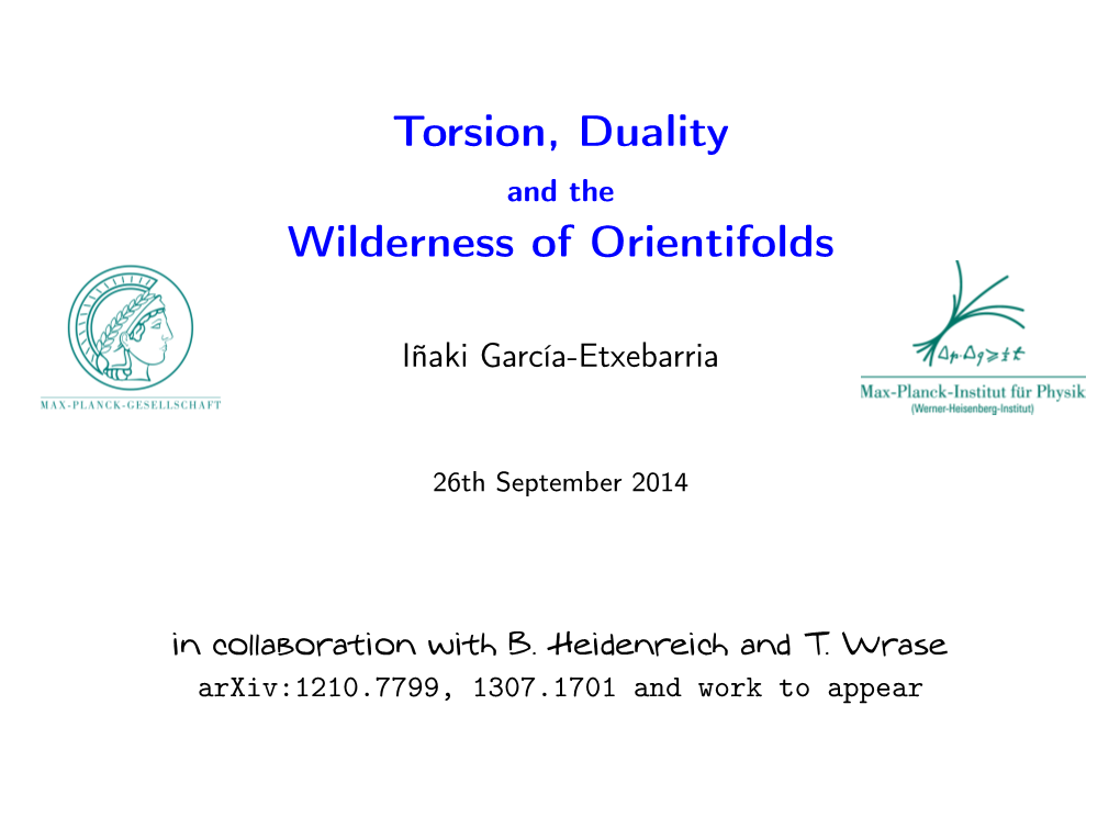 Torsion, Duality and the Wilderness of Orientifolds