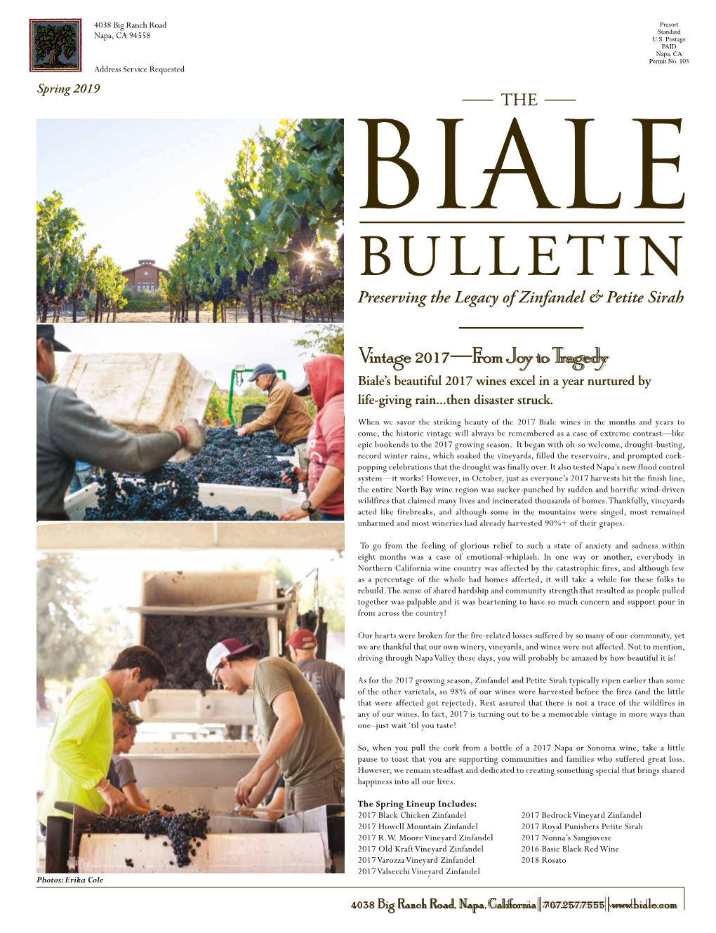 Biale Bulletin Spring 2019