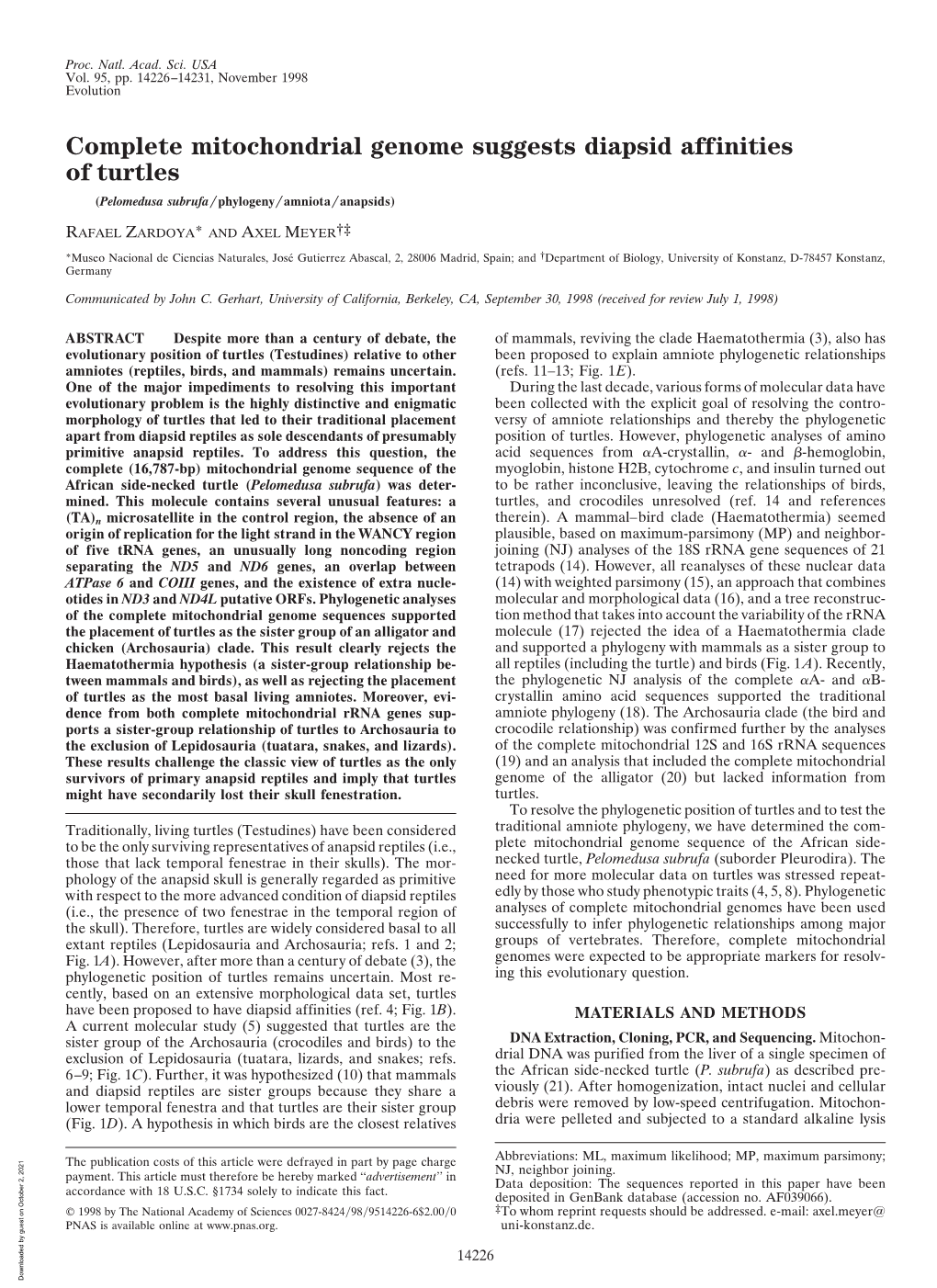 Complete Mitochondrial Genome Suggests Diapsid Affinities of Turtles (Pelomedusa Subrufa͞phylogeny͞amniota͞anapsids)