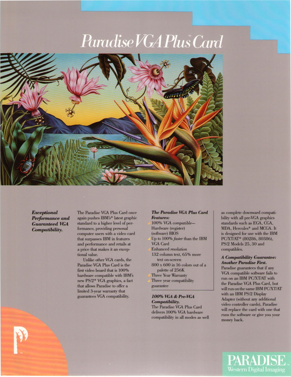 Paradise Catalog