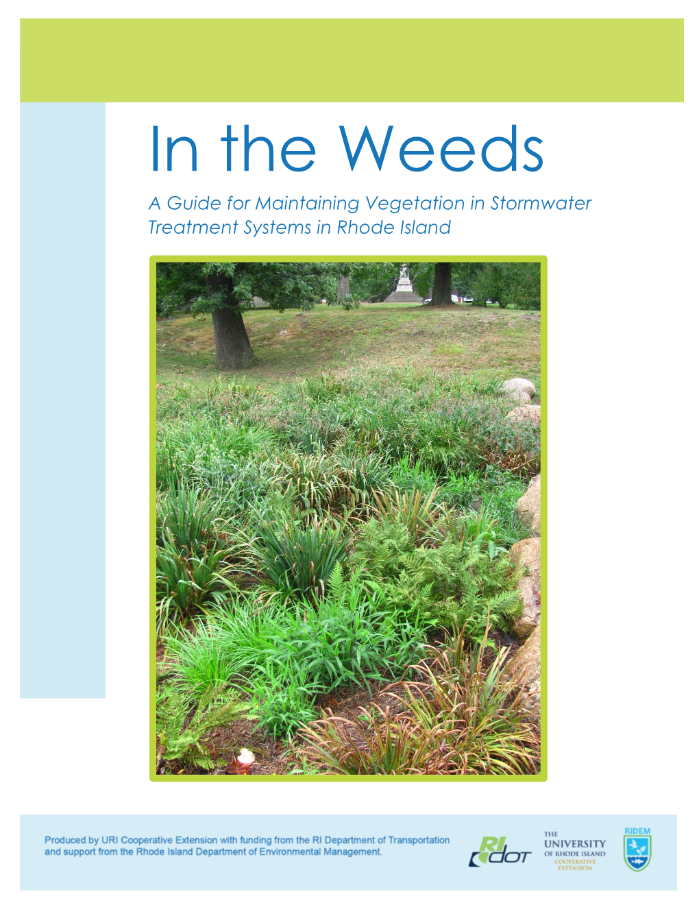 In the Weeds a Guide for Maintaining Vegetation in Stormwater Treatment Systems in Rhode Island