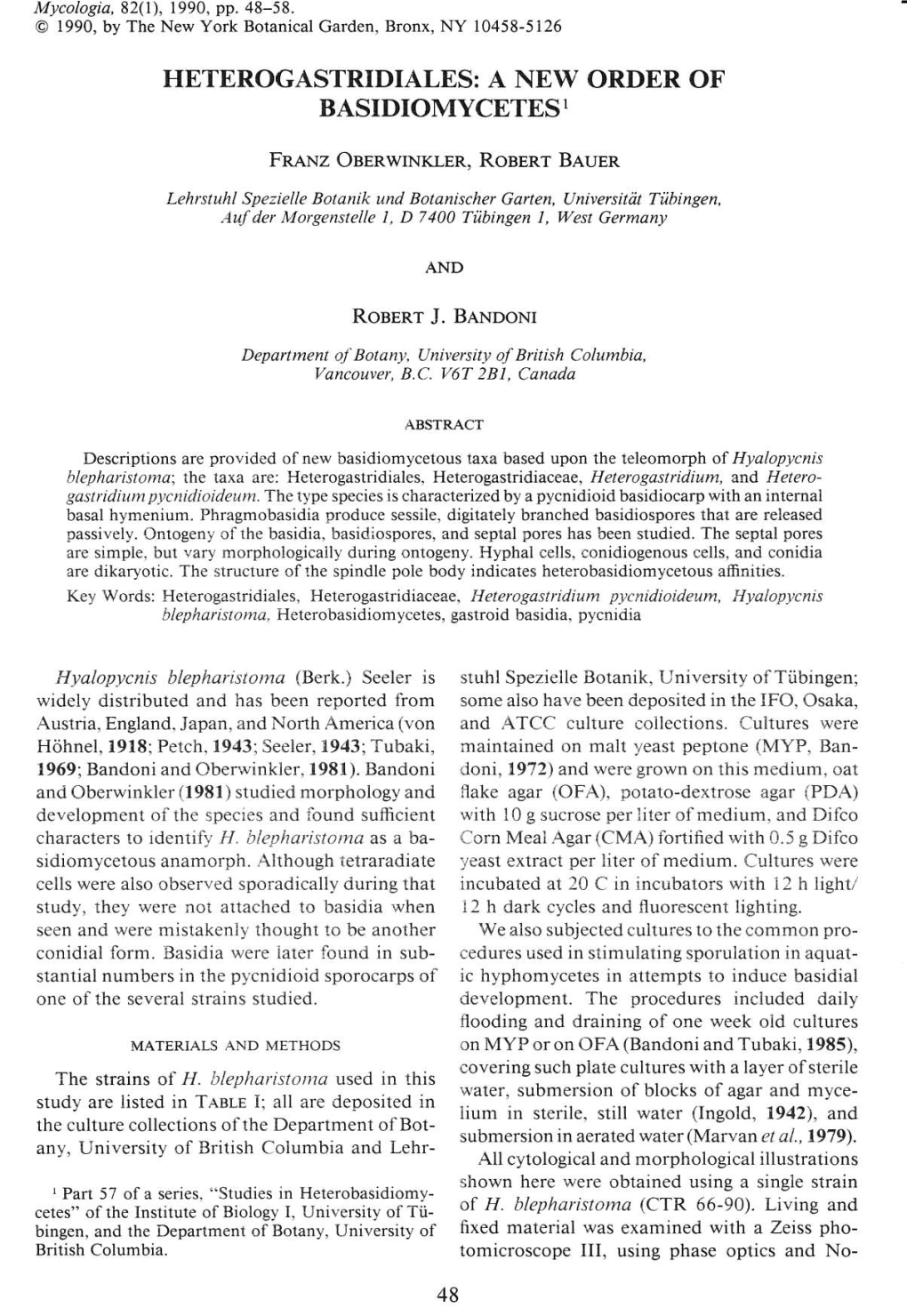 Heterogastridium.Pdf