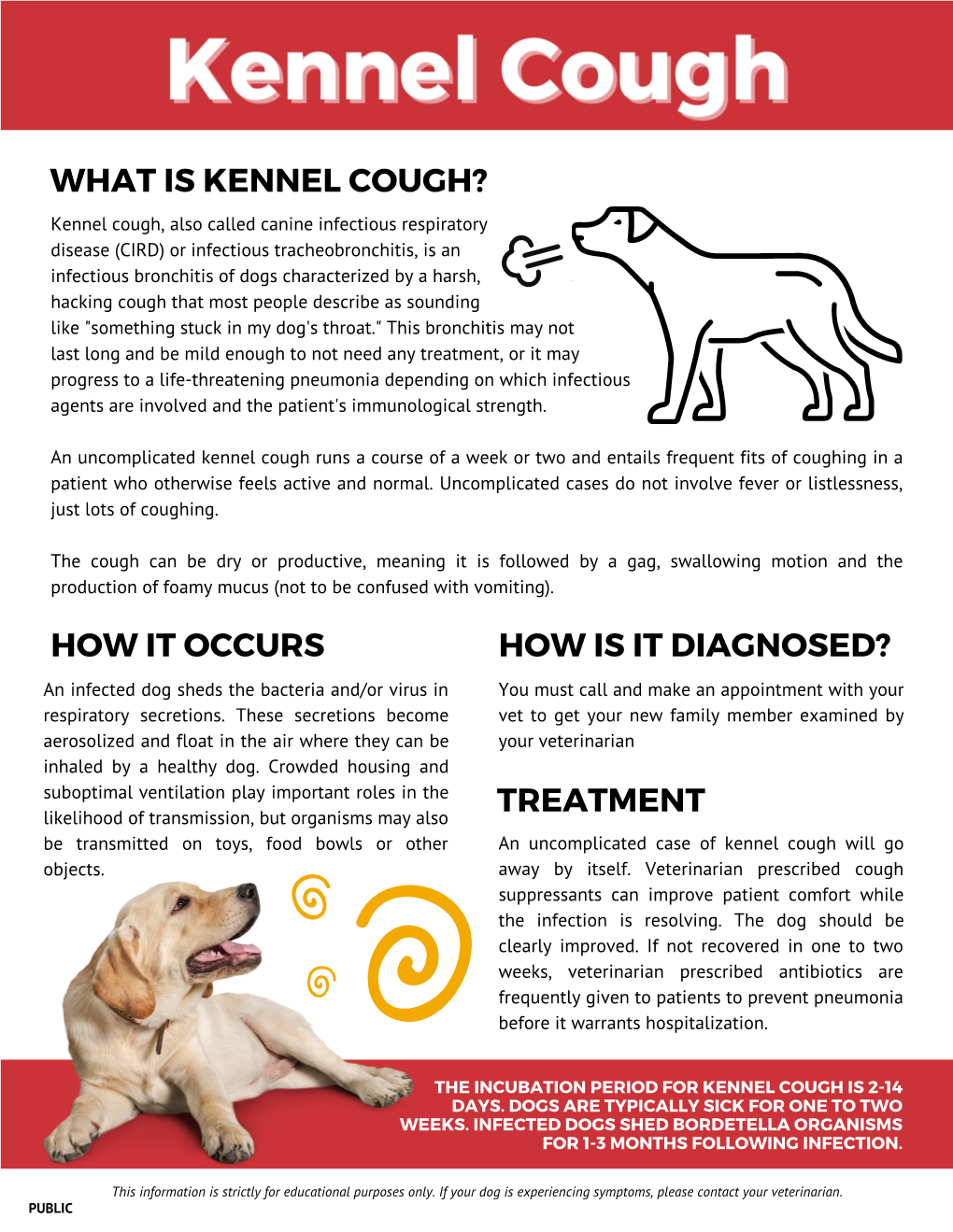 Kennel Cough