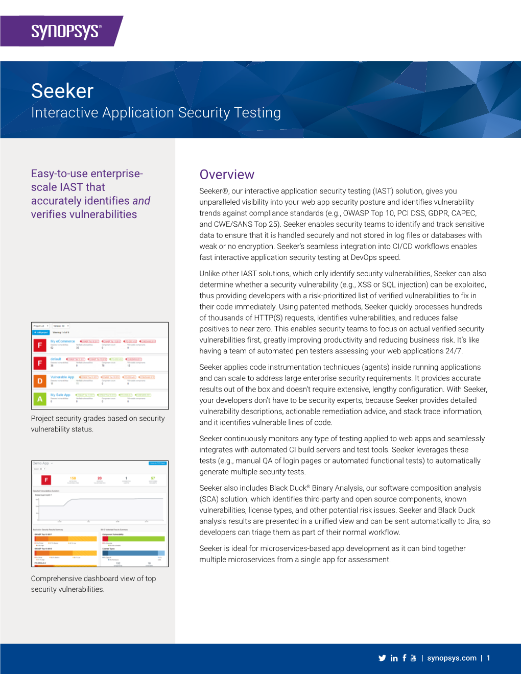 Seeker Interactive Application Security Testing Datasheet