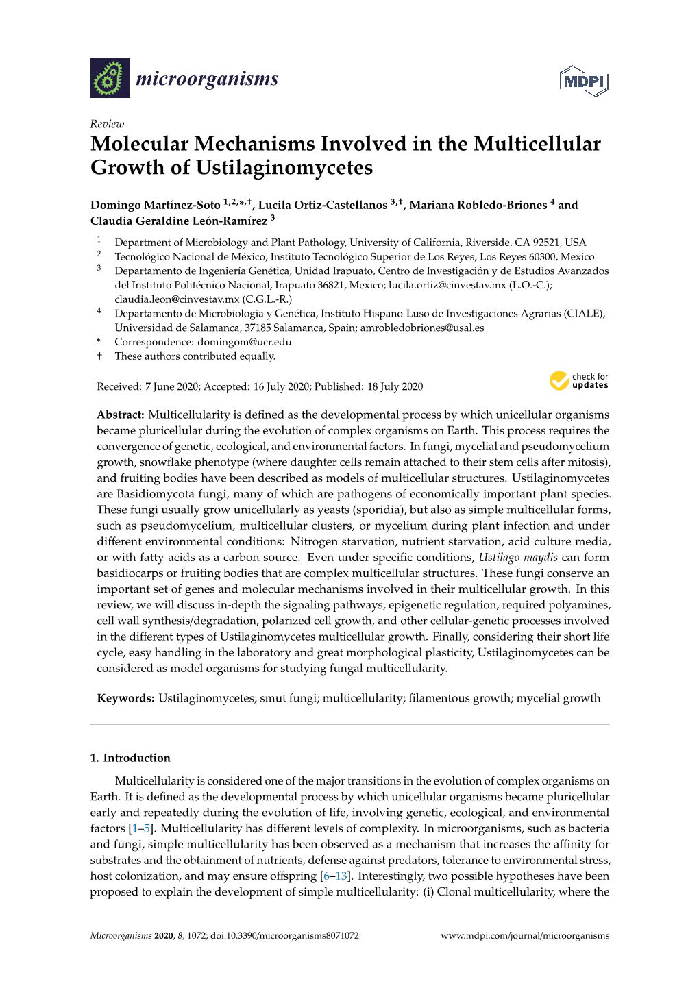 Molecular Mechanisms Involved in the Multicellular Growth of Ustilaginomycetes