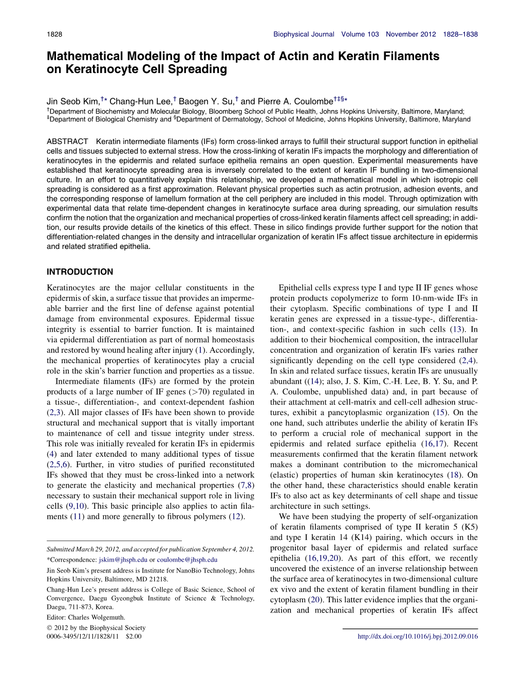 Mathematical Modeling of the Impact of Actin and Keratin Filaments On&Nbsp;Keratinocyte Cell Spreading