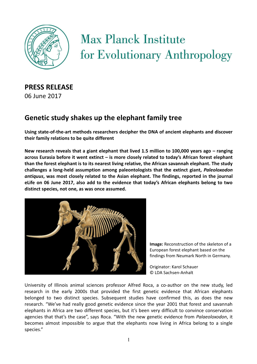 PRESS RELEASE Genetic Study Shakes up the Elephant Family Tree