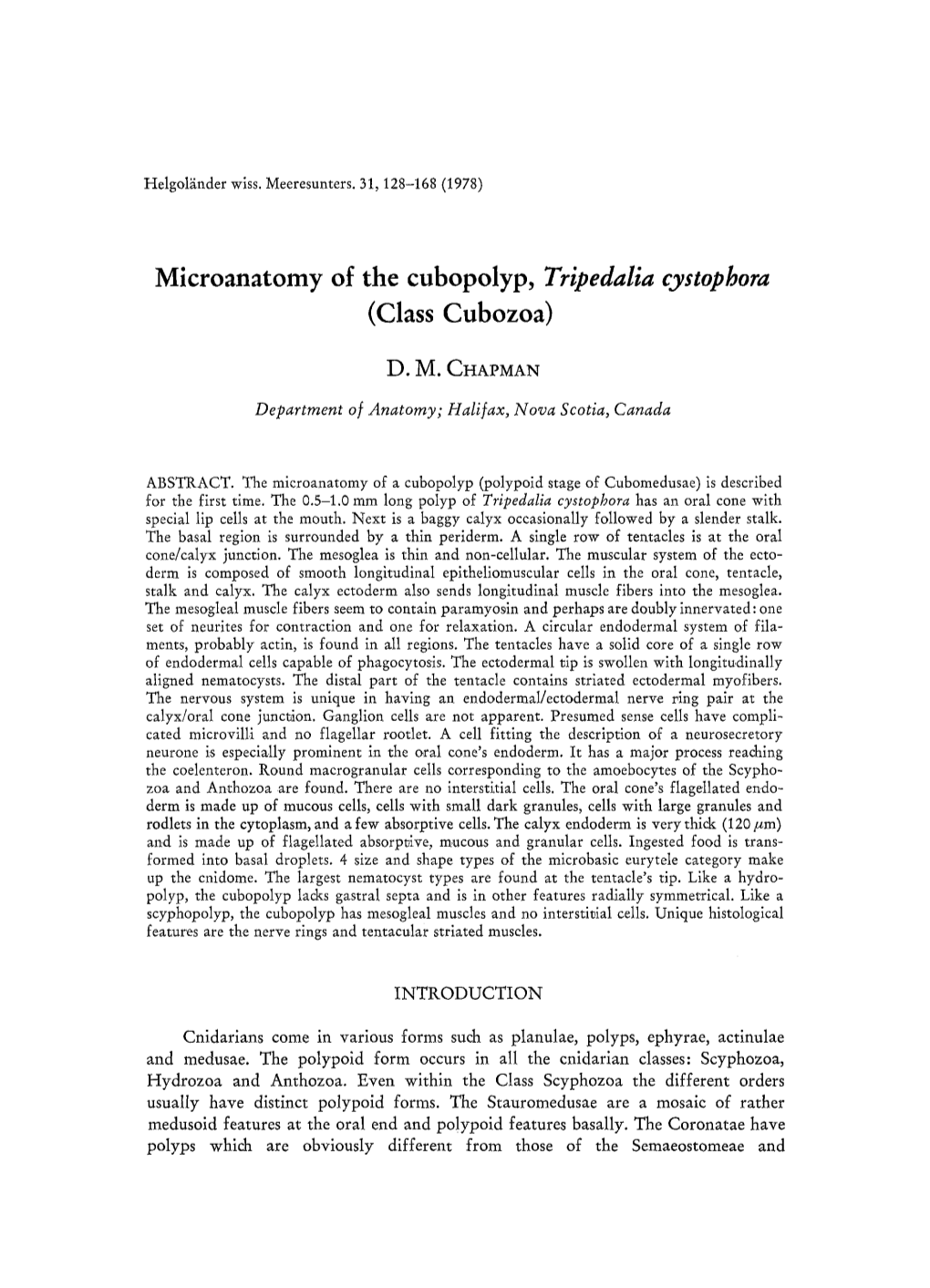 Tripedalia Cystophora (Class Cubozoa)