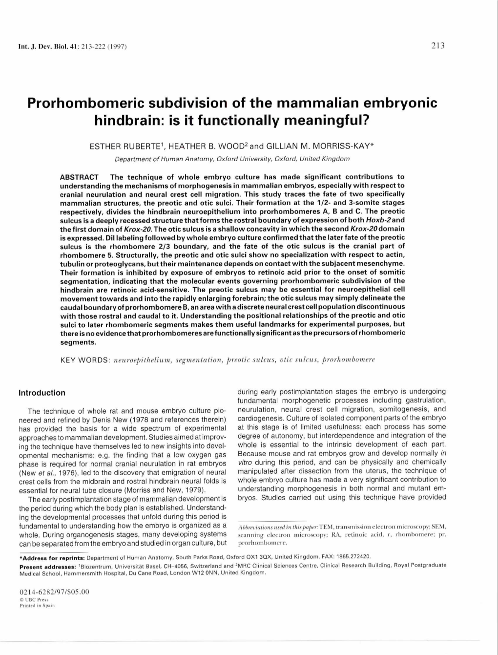 Prorhombomeric Subdivision of the Mammalian Embryonic Hindbrain: Is It Functionally Meaningful?