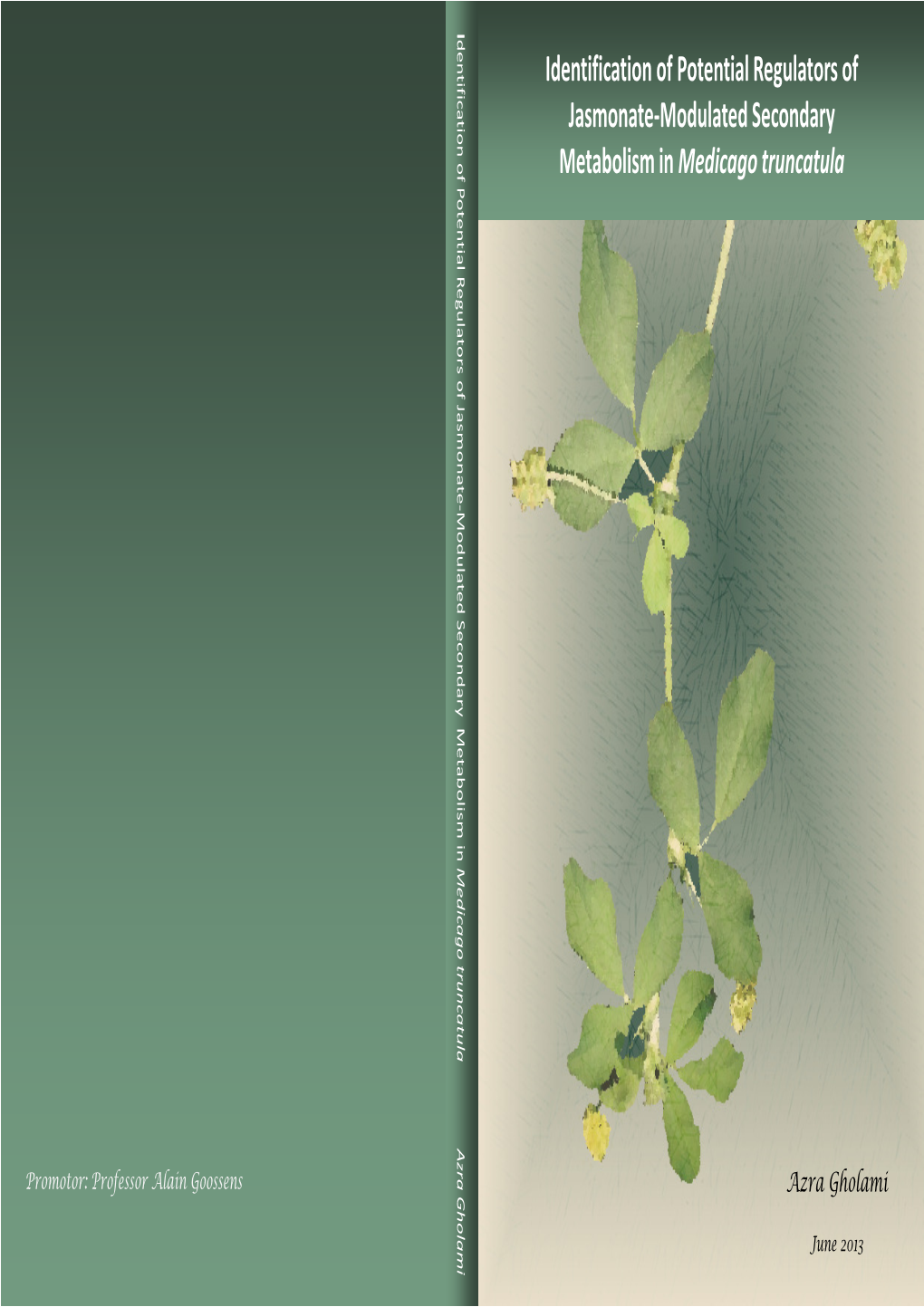 Identification of Potential Regulators of Jasmonate-Modulated Secondary Metabolism in Medicago Truncatula