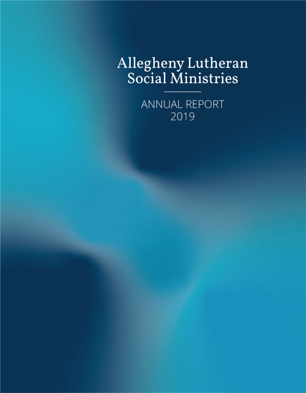 2019 ALSM Annual Report