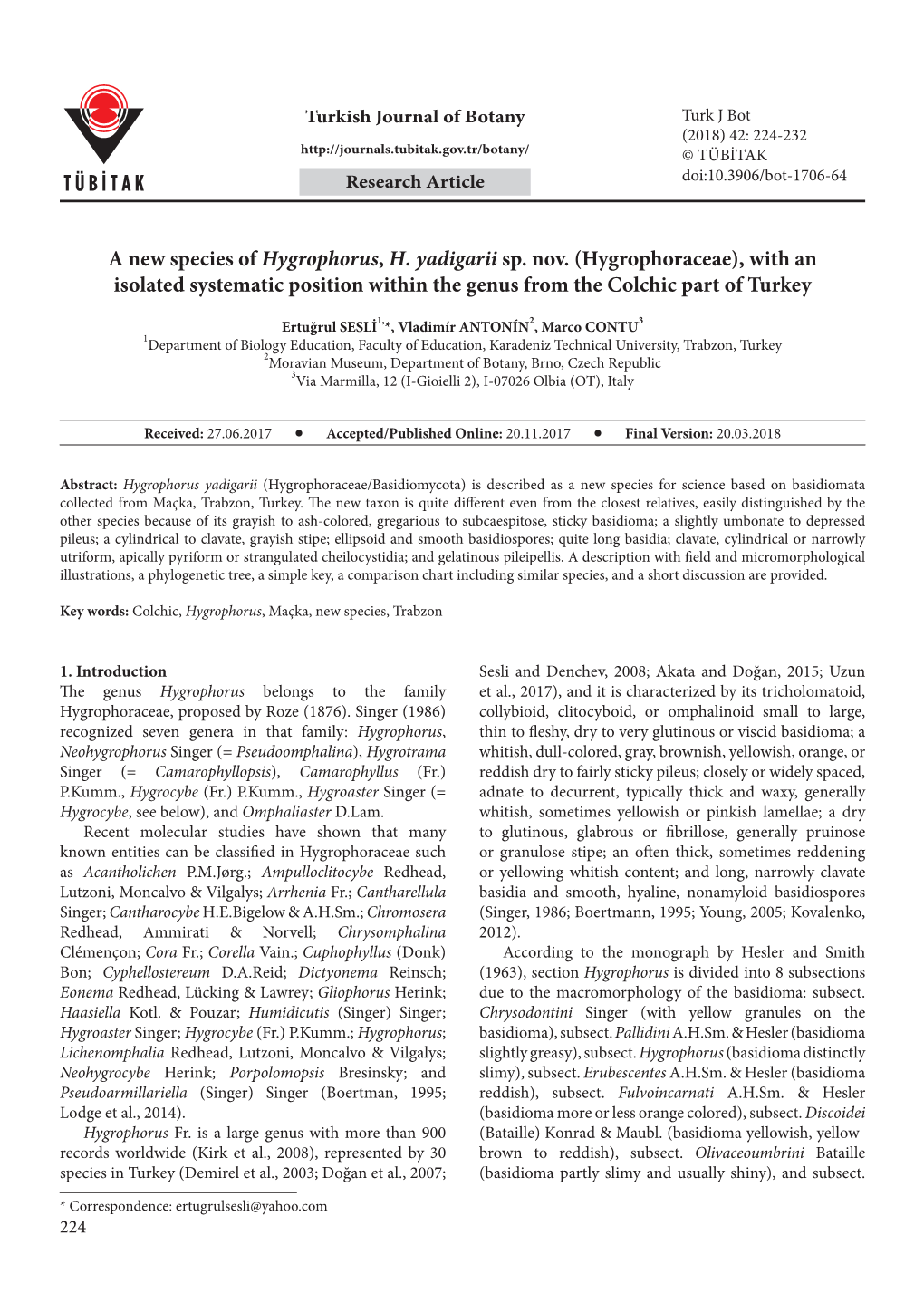 A New Species of Hygrophorus, H. Yadigarii Sp. Nov. (Hygrophoraceae), with an Isolated Systematic Position Within the Genus from the Colchic Part of Turkey