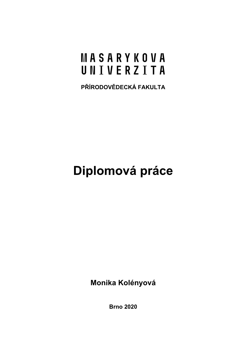 Diplomová Práce