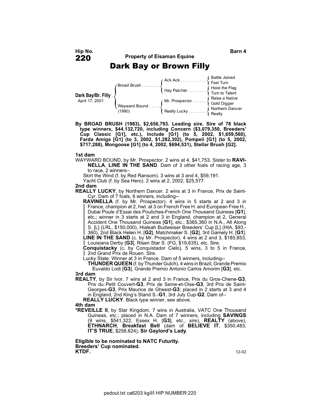 220 Property of Eisaman Equine Dark Bay Or Brown Filly