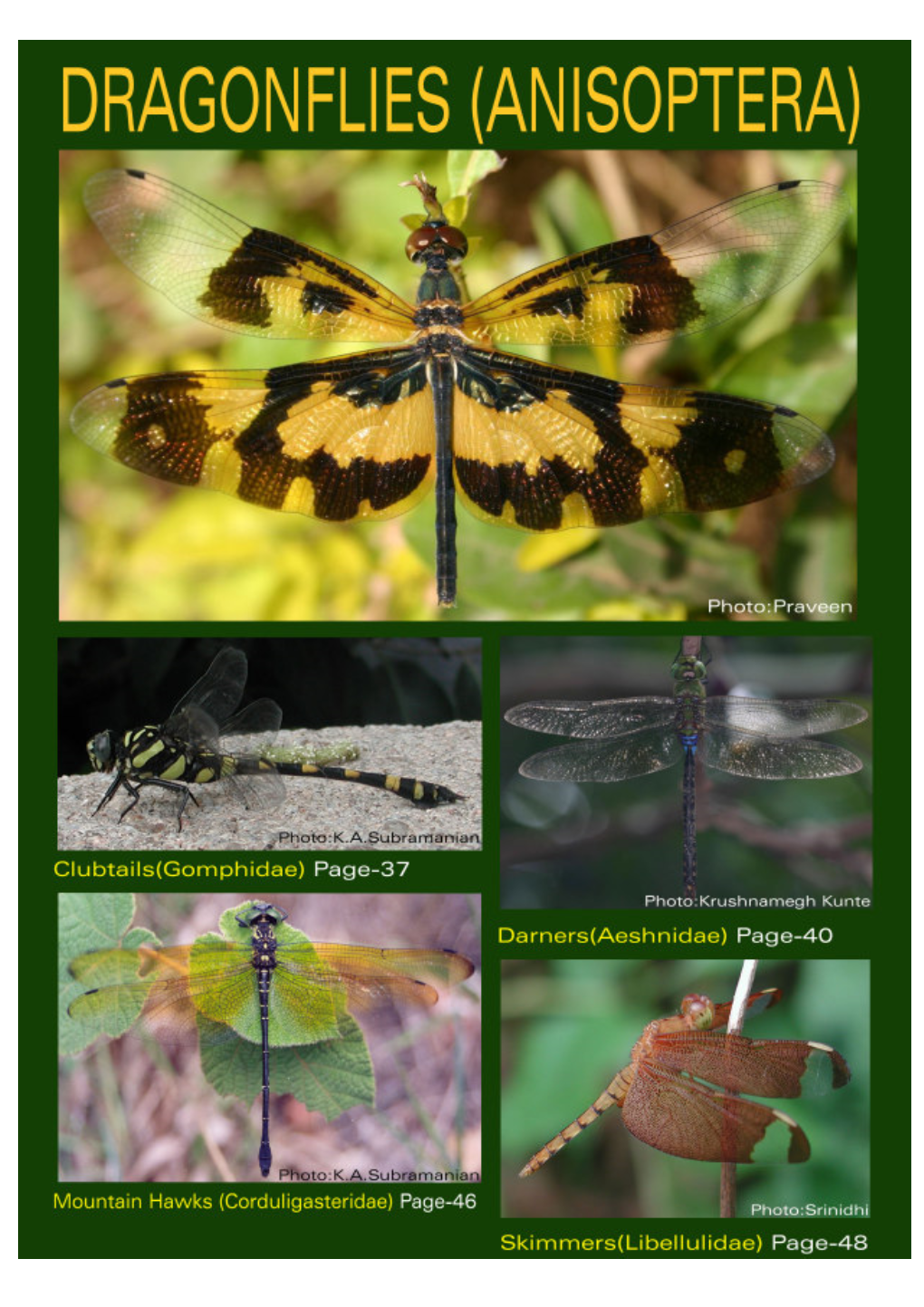Dragonflies and Damselflies of Peninsular India-A Field Guide