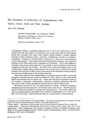 The Interaction of Escherichia Coli Tryptophanase with Various Amino