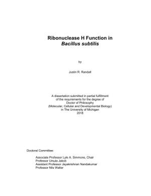 Ribonuclease H Function in Bacillus Subtilis