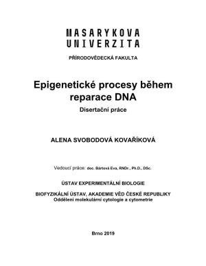Epigenetické Procesy Během Reparace DNA