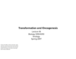 Transformation and Oncogenesis Lecture 18 Biology 3310/4310 Virology Spring 2017