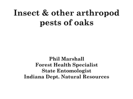 Insect & Other Arthropod Pests of Oaks