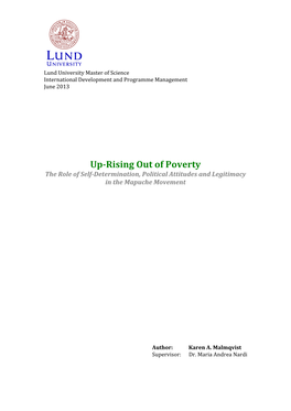 Rising out of Poverty the Role of Self-Determination, Political Attitudes and Legitimacy in the Mapuche Movement