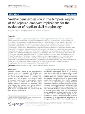 Skeletal Gene Expression in the Temporal Region Of