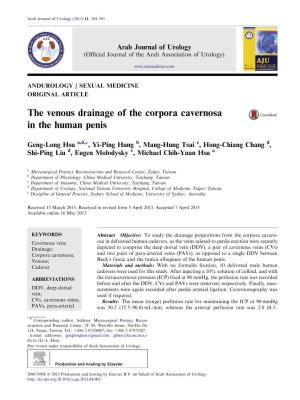 The Venous Drainage of the Corpora Cavernosa in the Human Penis
