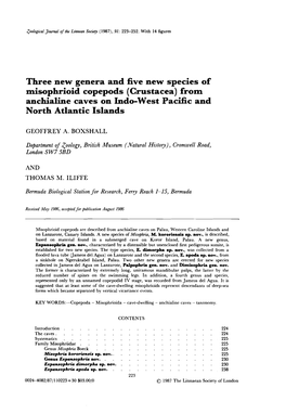 Three New Genera and Five New Species of Misophrioid Copepods