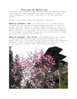 Third Great UBC Magnolia Sale Once Again the Friends of the Garden at the UBC Botanical Garden and Centre for Plant Research Are Offering Magnolia Trees for Sale