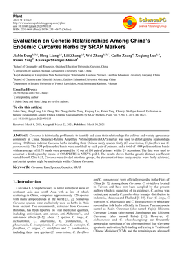 Evaluation on Genetic Relationships Among China's Endemic Curcuma