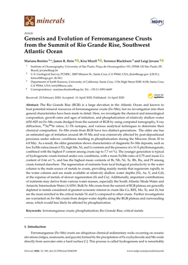 Genesis and Evolution of Ferromanganese Crusts from the Summit of Rio Grande Rise, Southwest Atlantic Ocean