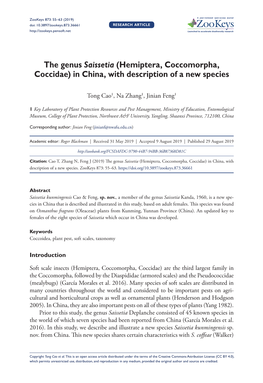 The Genus Saissetia (Hemiptera, Coccomorpha, Coccidae) in China, with Description of a New Species