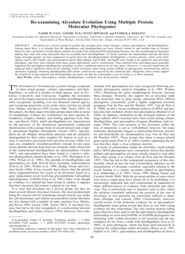 Re-Examining Alveolate Evolution Using Multiple Protein Molecular Phylogenies