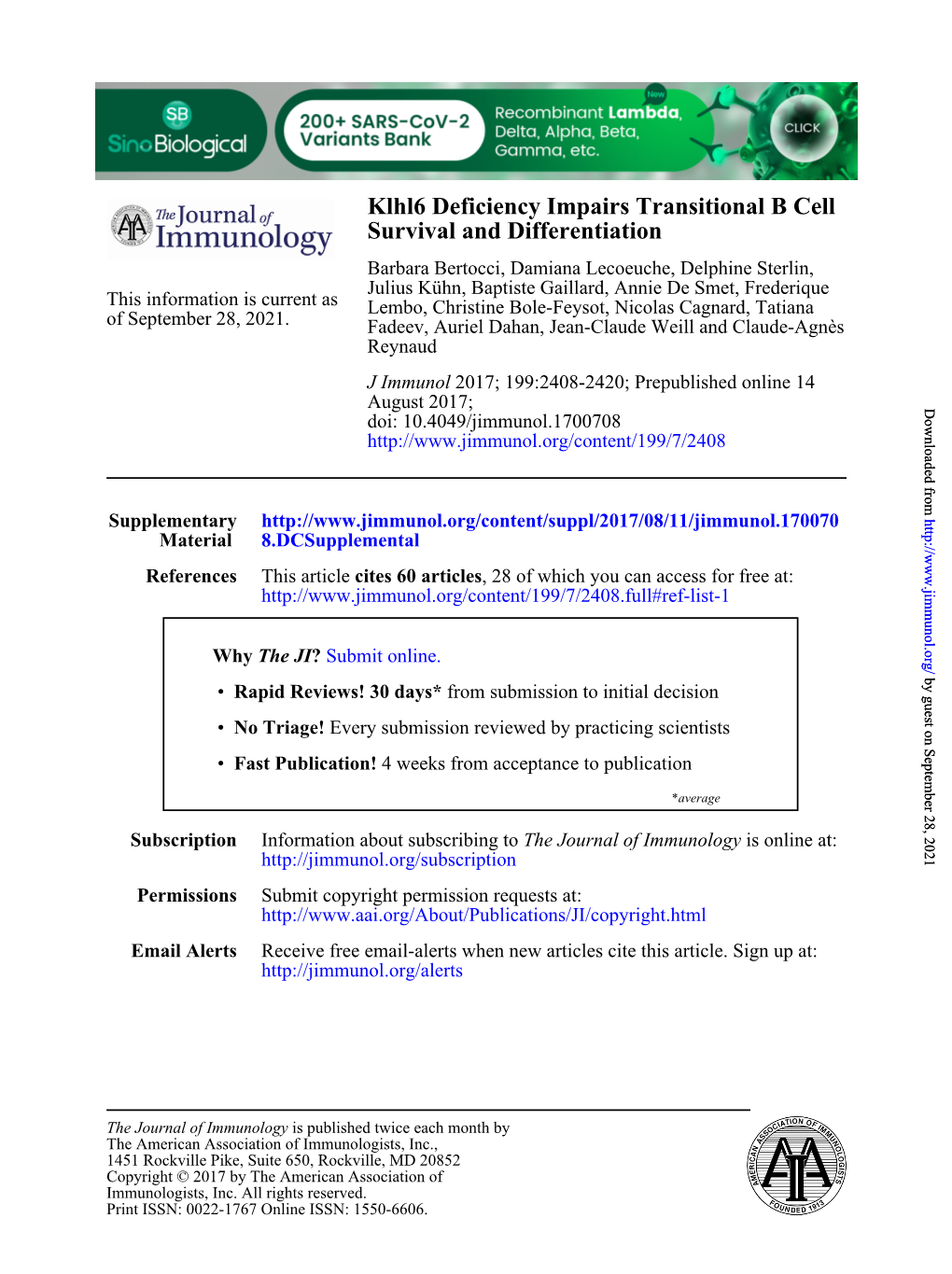 Klhl6 Deficiency Impairs Transitional B Cell Survival and Differentiation