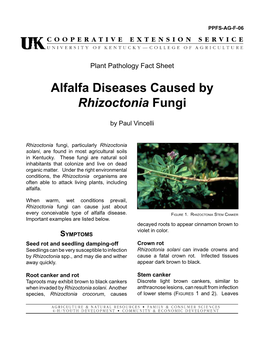 Alfalfa Diseases Caused by Rhizoctonia Fungi