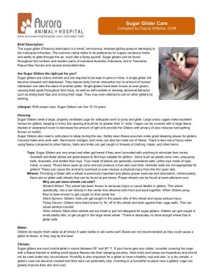 Sugar Glider Care Compiled by Dayna Willems, DVM