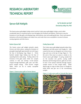 Spruce Gall Adelgids by the Bartlett Lab Staff Directed by Kelby Fite, Phd