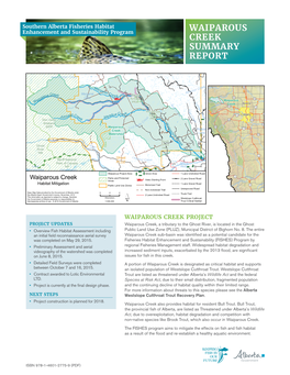 Waiparous Creek Summary Report