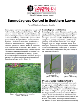 Bermudagrass Control in Southern Lawns