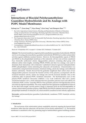 Interactions of Biocidal Polyhexamethylene Guanidine Hydrochloride and Its Analogs with POPC Model Membranes
