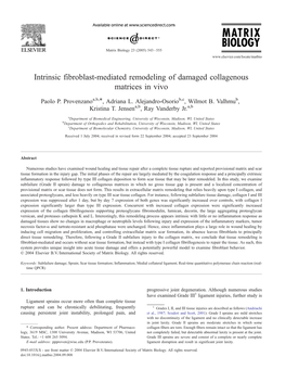 Intrinsic Fibroblast-Mediated Remodeling of Damaged Collagenous Matrices in Vivo